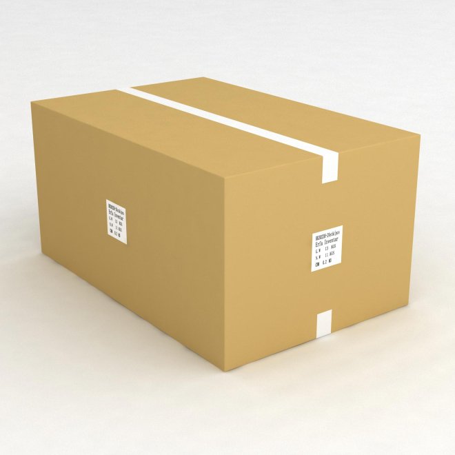 1 Karton mit 24 Regalboxen mit Etikettenhalter